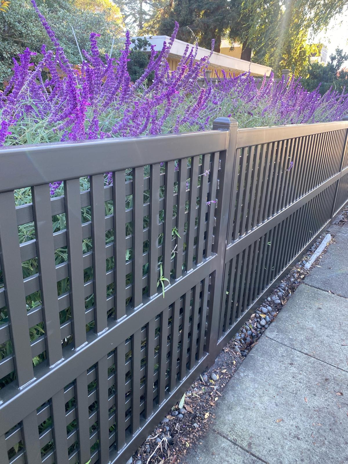 Modern gate design — Bay Area, CA