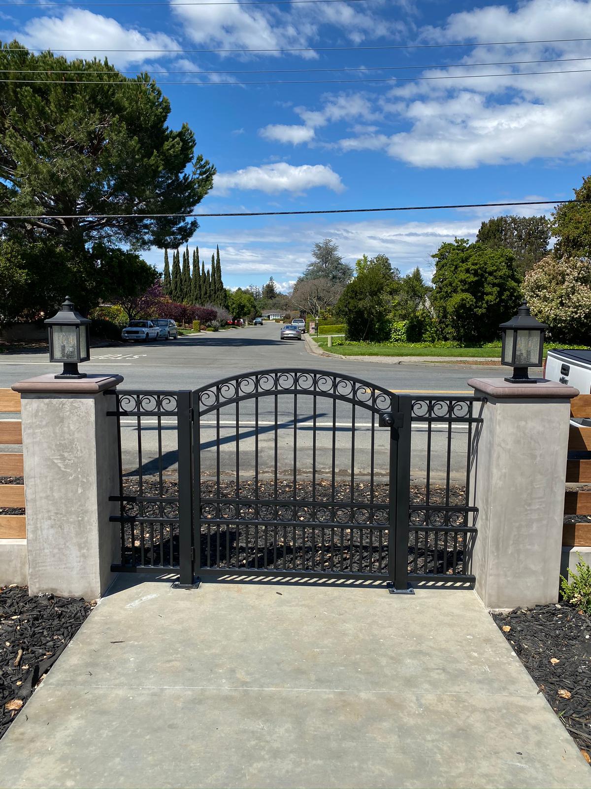 Pedestrian gate